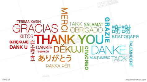 Thank You In Different Languages Stock Animation 1744839
