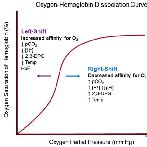 It describes the relationship between the saturation of hemoglobin and the partial pressure of arterial oxygen. Approach to Anaemia (Anemia) by adult patients, symptoms ...