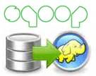 Which Manages The Coordination And Workflow In The Hadoop Images