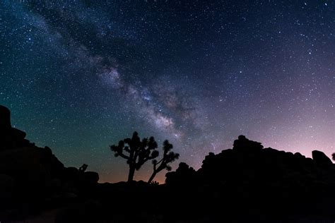 Experience The Beauty Of A Truly Dark Night Sky At Joshua Tree National