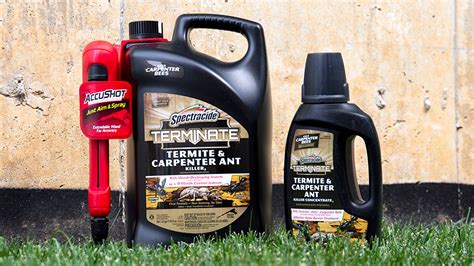 Because carpenter ants are highly attracted to moisture, wood that is damp or contains perforations is the first thing to look for when trying to locate the nest. Spectracide Terminate 1.3 Gal. AccuShot Ready-to-Use Termite and Carpenter Ant Killer Spray-HG ...