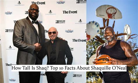 How Tall Is Shaq Top 10 Facts About Shaquille Oneal Siachen Studios