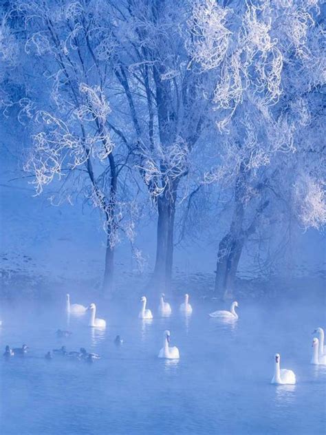 Winter Solstice Bing Wallpaper Download