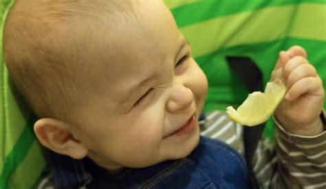 Amazing Reaction Of Babies Eating Lemons For The First Time VIDEO JiZNoDnA