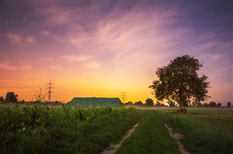 Download Summer Field At Sunset Royalty Free Stock Photo And Image