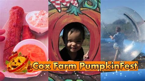 Pumpkin Patch At Cox Farm Pumpkinfest Cook Off Youtube