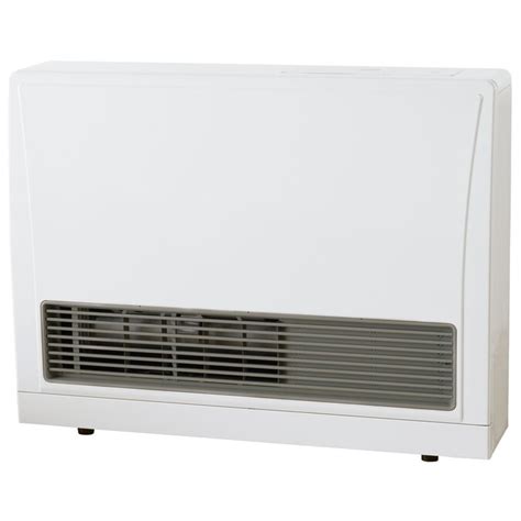 Rinnai 21500 Btu Wall Mount Natural Gas Vented Convection Heater In The