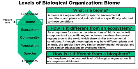 Biome Definition Biology