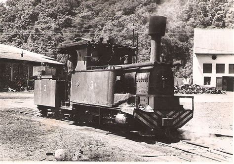Old Steam Locomotives In South Africa Miscellaneous Cane Tramway Images