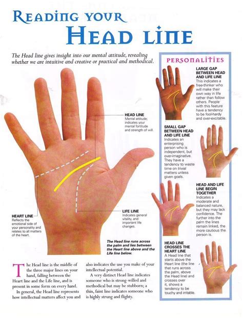 Head Line Palmistry Palm Reading Divination Palm Reading Palmistry