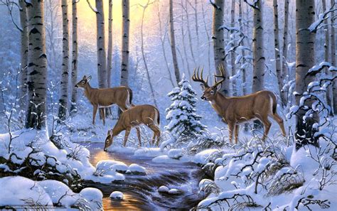 38 Winter Deer Wallpaper Backgrounds
