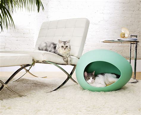 8 Comfortable And Modern Cat Beds Design Swan