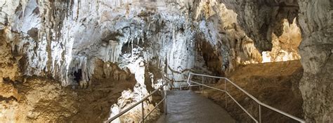 Blue Mountains And Jenolan Caves Day Tour Aat Kings
