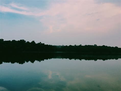 Free Images Landscape Sea Tree Water Nature Grass Horizon