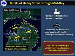 Snow Squalls Paralyze Michigan Shutting Down Highways