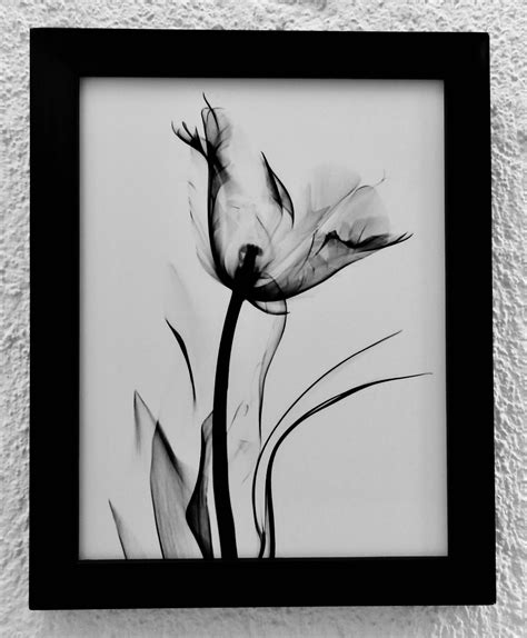 Check spelling or type a new query. Juego Cuadros Decorativos Tulipanes (floral Blanco Y Negro ...