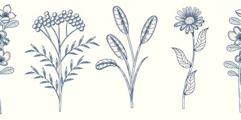Vintage Botany Flowers Border Sticker Tenstickers