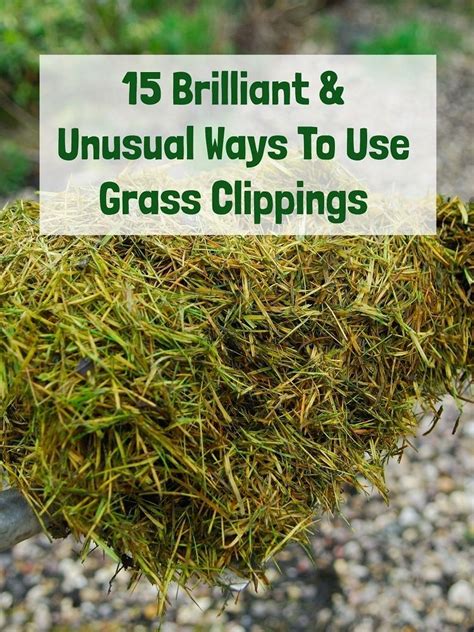 15 Brilliant And Unusual Ways To Use Grass Clippings Green Garden