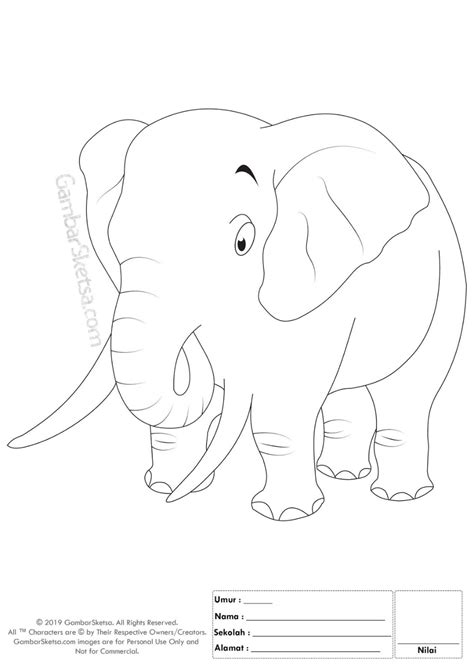 Nggak usah khawatir, membuatnya bakalan cukup mudah kok. 38+ Galeri Gambar Sketsa Gajah Lucu Terkeren | Sketsa