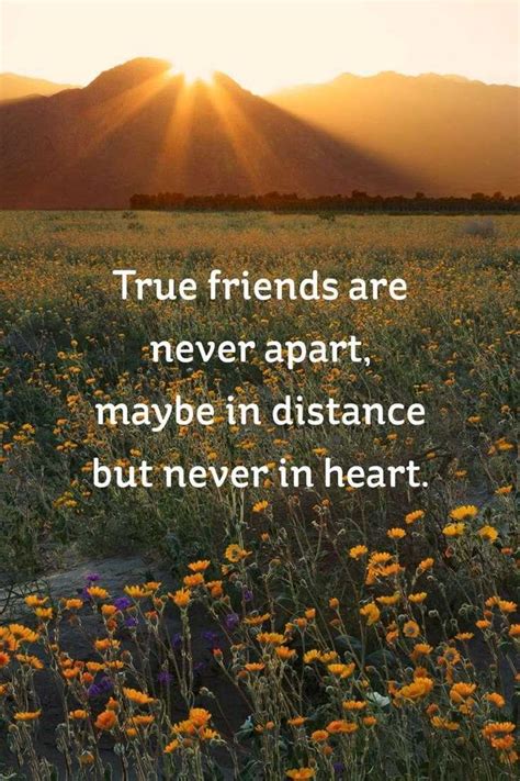 59 True Friendship Quotes Best Friends Forever Quotes Page 3 Boom