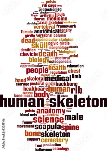 Human Skeleton Word Cloud Concept Vector Illustration Stock Image