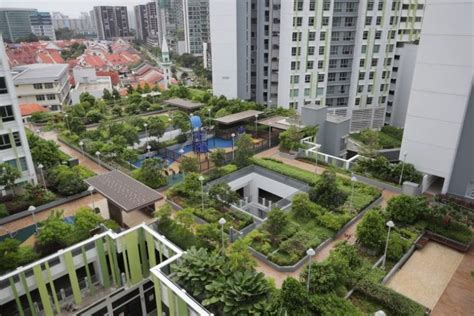 Bidadari Hdb Estate Taking Shape As Residents Move In Condominiums Of