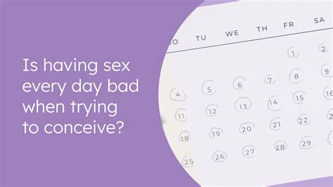 is having sex every day bad when trying to conceive sex frequency during fertile window proov