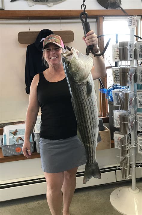 Surfland Bait And Tackle Plum Island Fishing Fish Report
