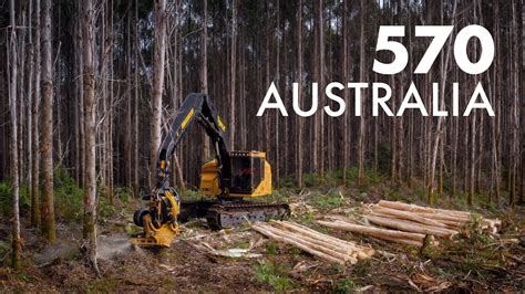 Tigercat 570 Harvesting Head In Action In Australia YouTube