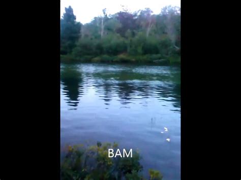 We did not find results for: Fishing the Platte River Michigan 2013 - YouTube