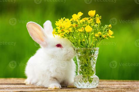 A Small Cute Fluffy White Rabbit Sits With A Bouquet Of Flowers On A