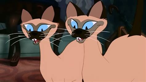 Lady And The Tramp 1955 Cinema Cats