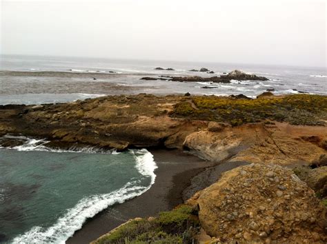 Point Lobos State Park Picture Of The Week ~ The World Of Deej