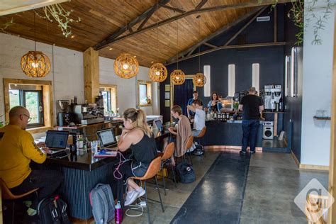 A Look Inside Falcon Coffee Nashville Guru