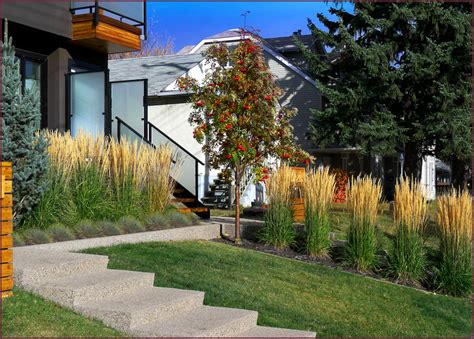 It's a calming plant that sounds like a whisper in. Image result for karl foerster grass | Landscape design ...