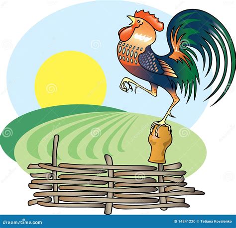 Singing Rooster And Morning Sun Stock Vector Illustration Of Morning