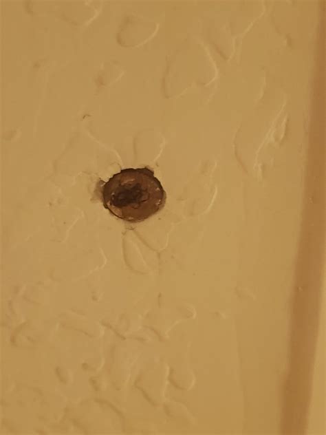 Small Dime Sized Thing Found In Ceiling Of Bathroom And Closet R