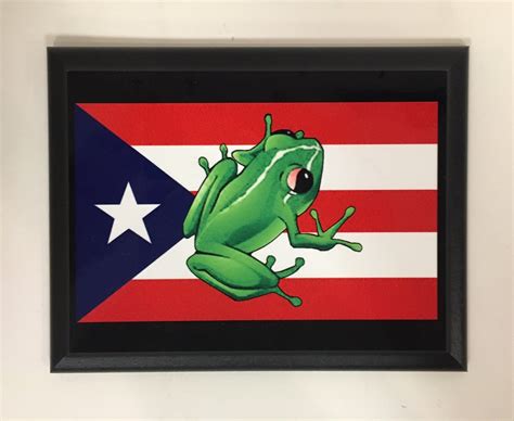 Puerto Rican Flag With Frog Plaque Custom Creations