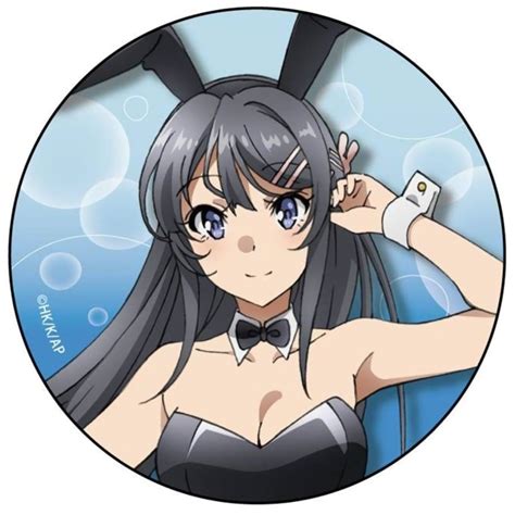 Pin By 根っこ On Pfp Bunny Girl Mai Sakurajima Anime