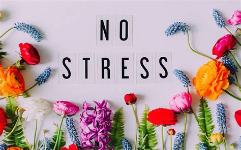 5 Ways To Deal With The Effects Of Stress By Linda Anne Kahn