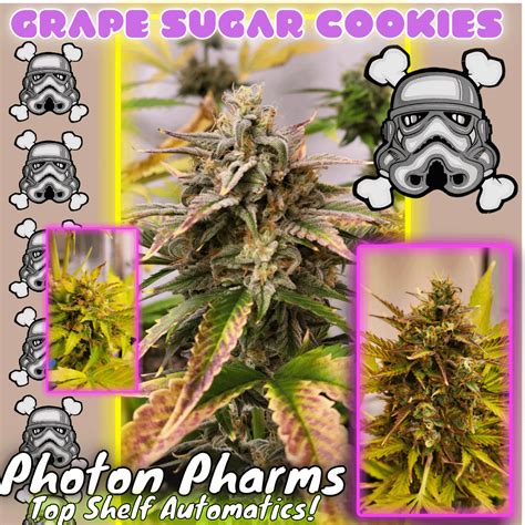 Grape Sugar Cookies Now Available Super Limited Run On These Not