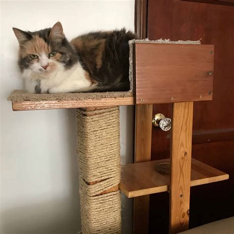 15 Diy Cat Trees How To Build A Cat Tower 2022