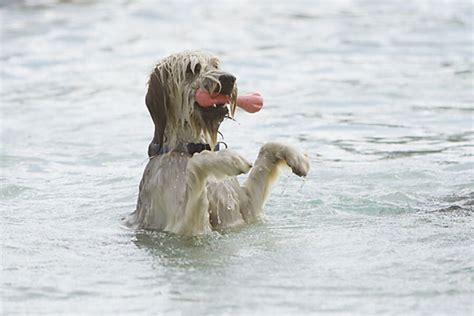 Making successful progress under one's own steam. Barely treading water? Tips to help you stay afloat ...