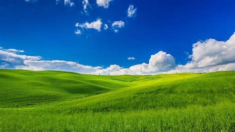 Grass And Sky Wallpapers Wallpaper Cave