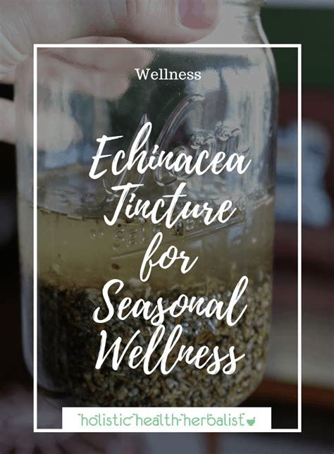 Echinacea Tincture For Seasonal Wellness Holistic Health Herbalist