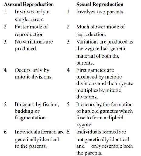 Differentiate Between Asexual And Sexual Reproduction Filo