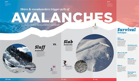Avalanche Infographic Behance
