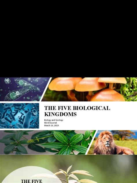 Five Biological Kingdoms Pdf Organisms Cell Biology