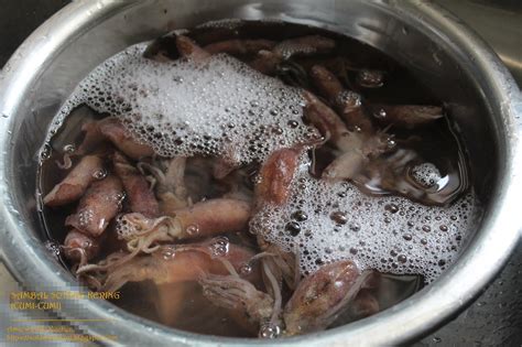 Ambil sotong tadi campurkan dengan sedikit garam, serbuk kunyit, lada hitam dan lada sulah. Cara Masak Sambal Sotong Kering (Cumi-Cumi) - AMIE'S ...