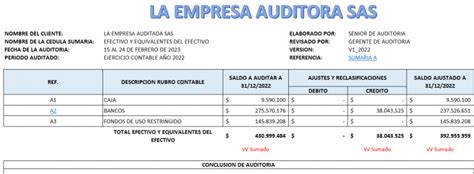 Papeles De Trabajo Del Revisor Fiscal ¿cómo Elaborarlos Actualícese